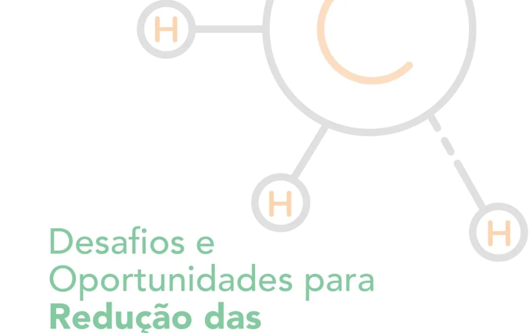 Desafios e oportunidades para a redução das emissões de metano no Brasil