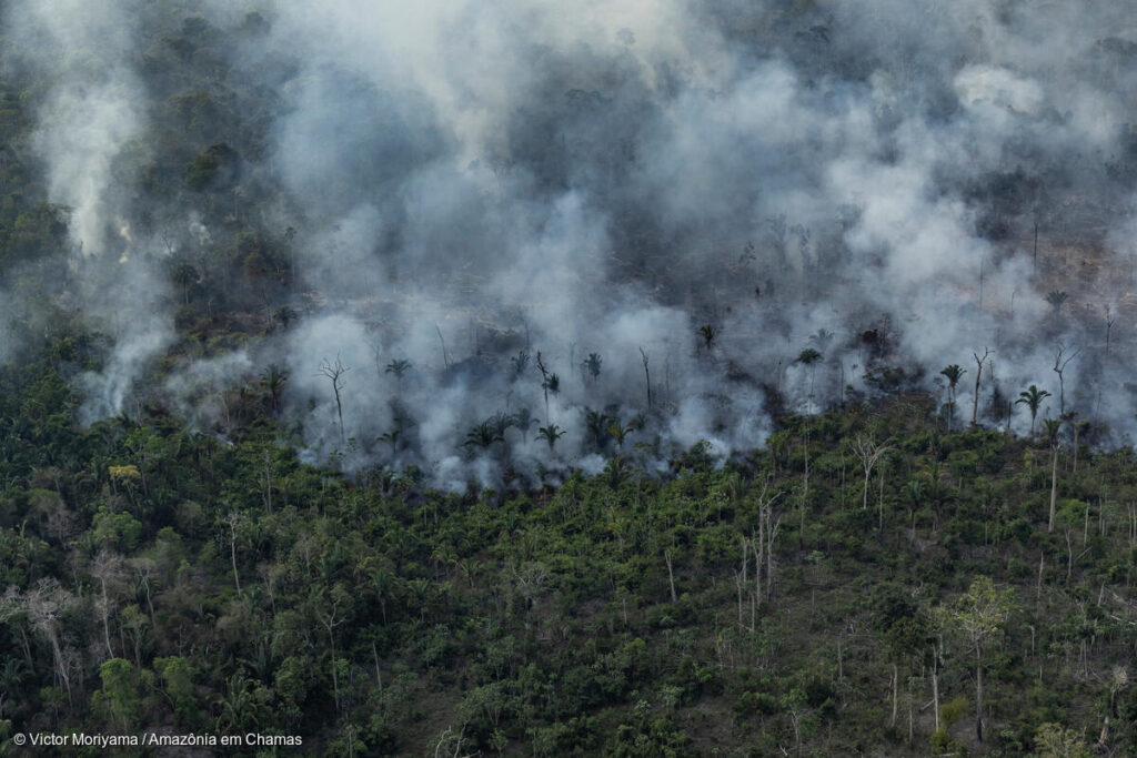 Imagem aérea de Amazônia com fumaça de incêndio florestal, fruto de grilagem.