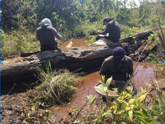 Proteção de mata ciliar deve ser ampliada para proteger biodiversidade