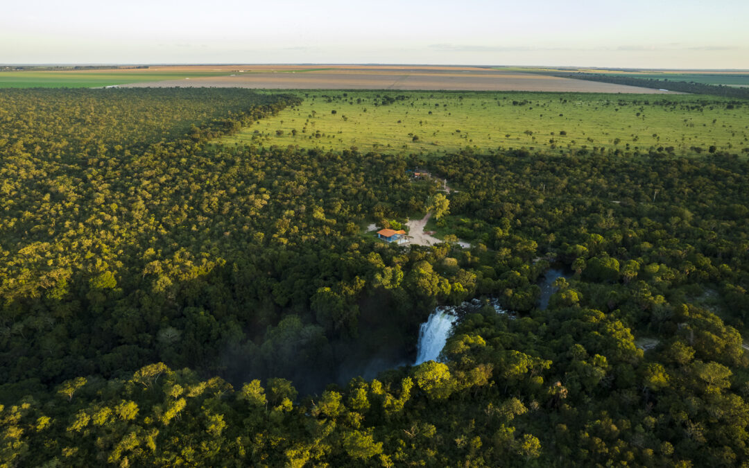 Pacto em defesa do Código Florestal une conservação e produção agrícola