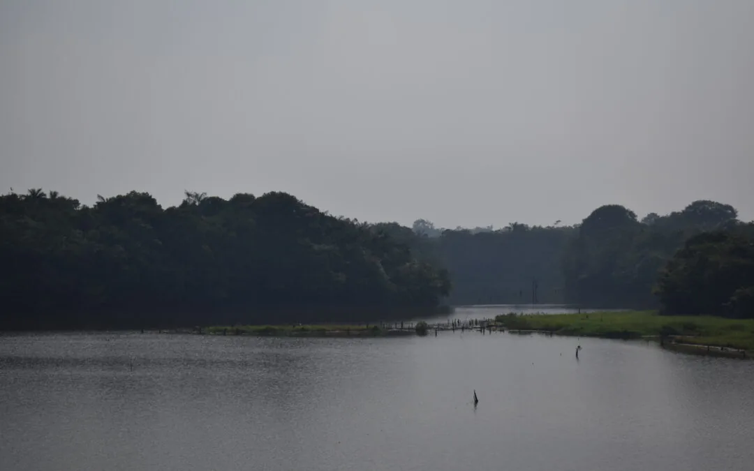 Área queimada aumentou 410% em fevereiro, aponta Monitor do Fogo