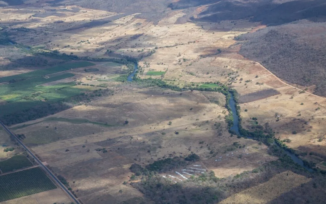 [NOTA] Projeto de lei coloca em risco biomas como o Cerrado e a Mata Atlântica