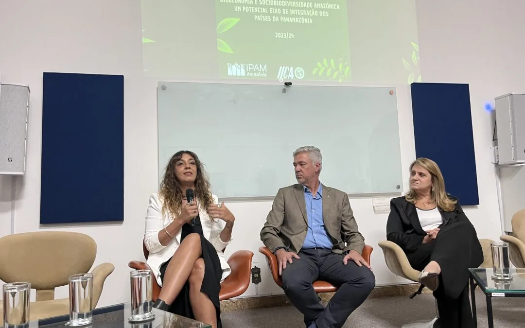 Bioeconomy: research points to a model of environmental resilience in Panamazonia