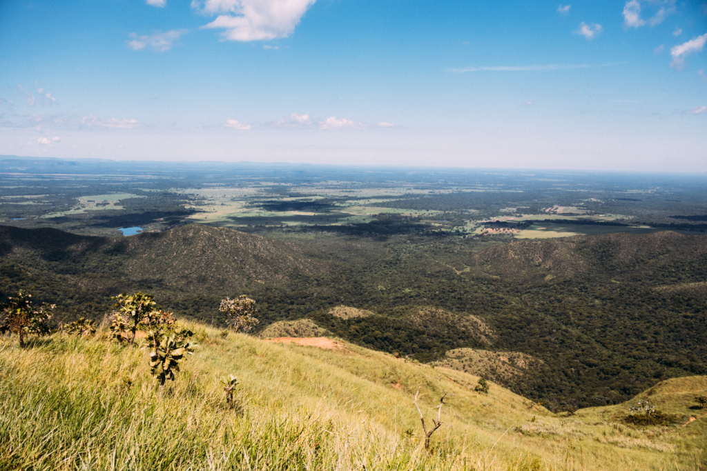 Desmatamento no Cerrado