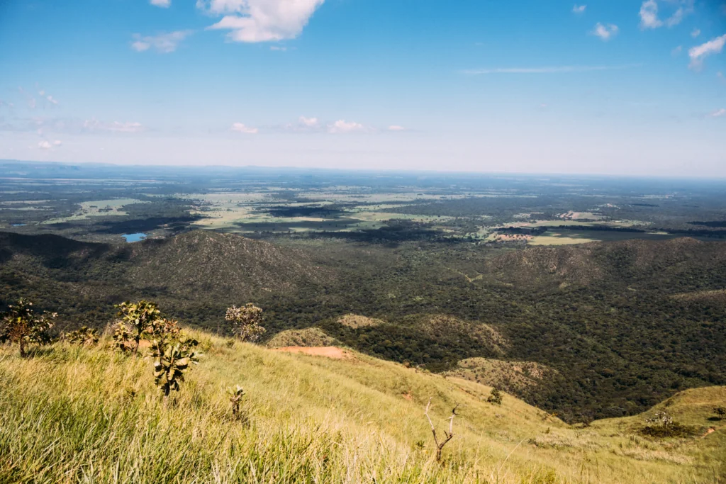 Desmatamento no Cerrado