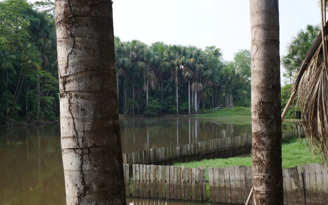 Documento mapeia expansão da bioeconomia em países do G20