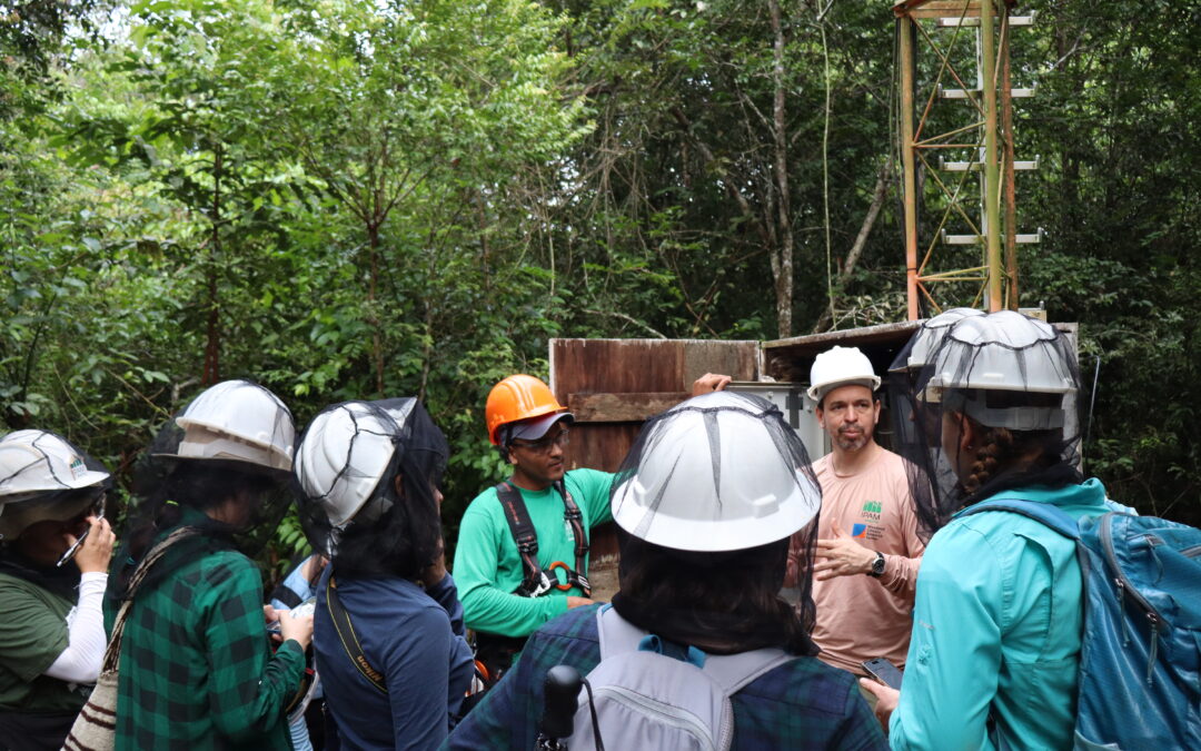 Paulo Brando: “Para estudar uma floresta, 20 anos é quase nada”