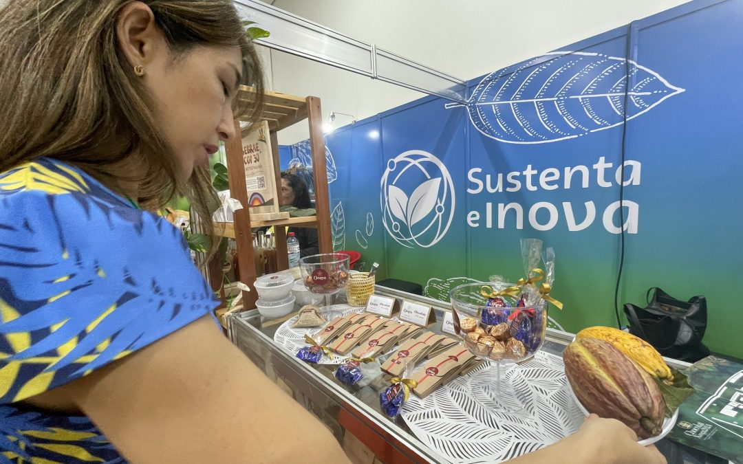 Festival de Chocolate e Cacau: histórias de sucesso e sustentabilidade