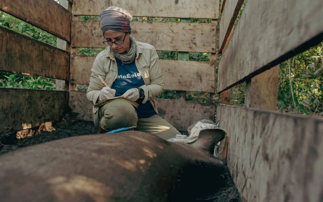 Patrícia Medici e o maior banco de dados sobre antas do mundo