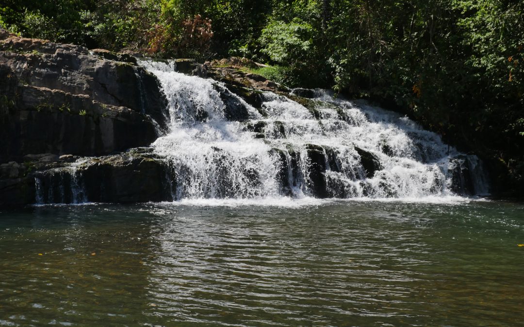 Cerrado perde 53% da superfície de água natural desde 1985