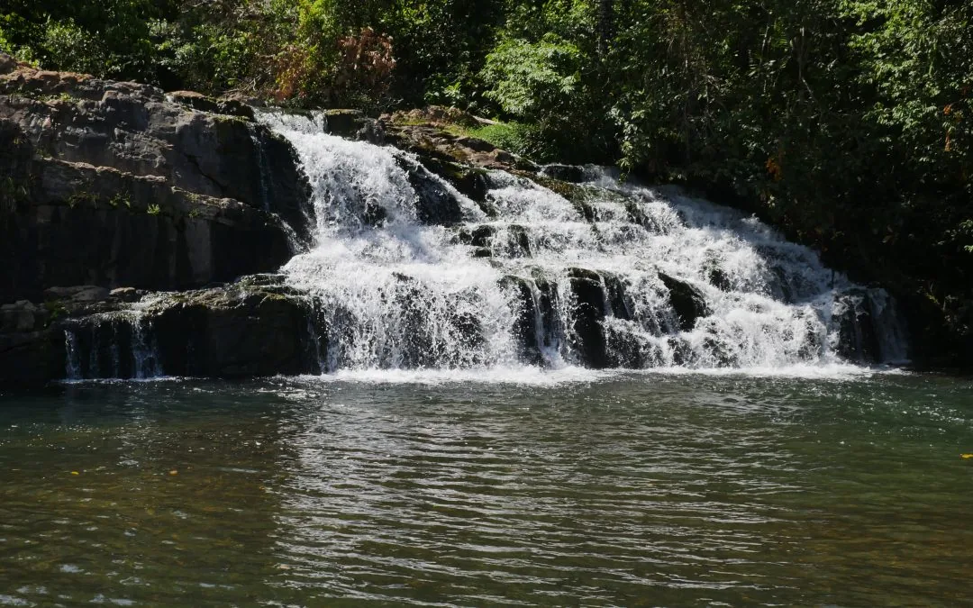 Cerrado perde 53% da superfície de água natural desde 1985