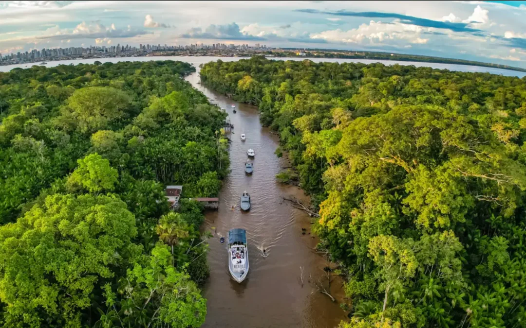IPAM and Amazônia de Pé launch Public Forests Observatory