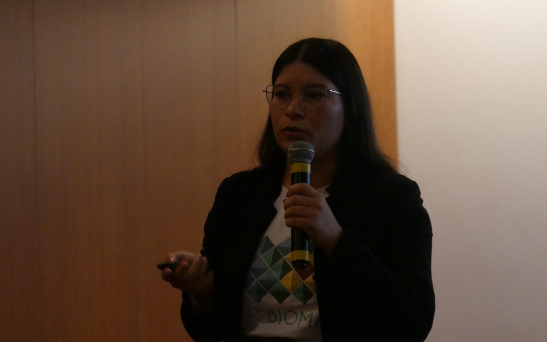 “Matopiba caminha para danos cada vez maiores de vegetação nativa”