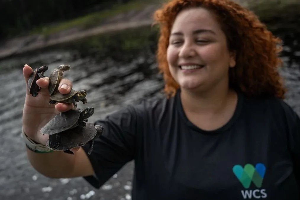 IPAM manifesta pesar pela morte da jornalista Marina Salviati, do WCS Brasil