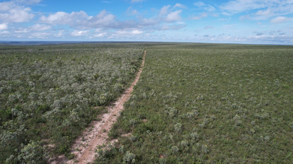 Imagem aérea da região do MATOPIBA mostrando vegetação nativa do cerrado.