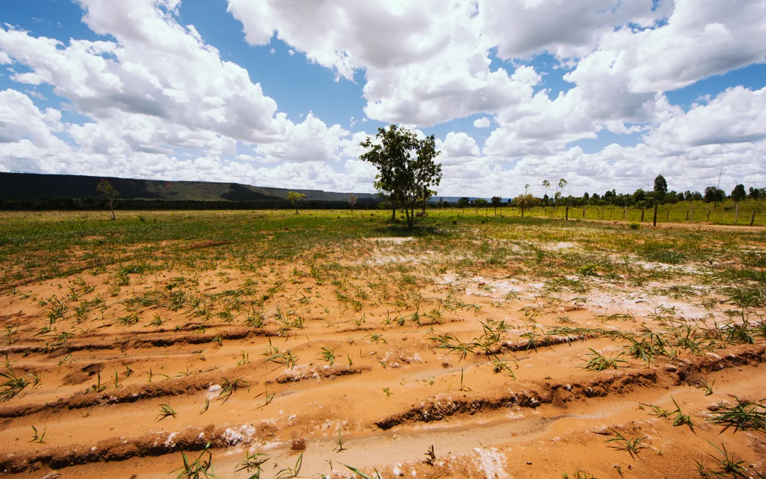 Com nova metodologia, Brasil se torna referência em medição de emissões