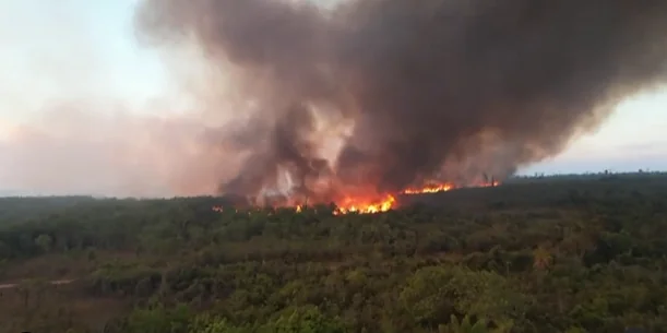 T.I. Capoto/Jarina asks for emergency help to put out fires