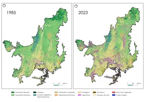 Mapa do Cerrado indicando áreas de vegetação nativa, pastagem, agricultura e outros usos da terra
