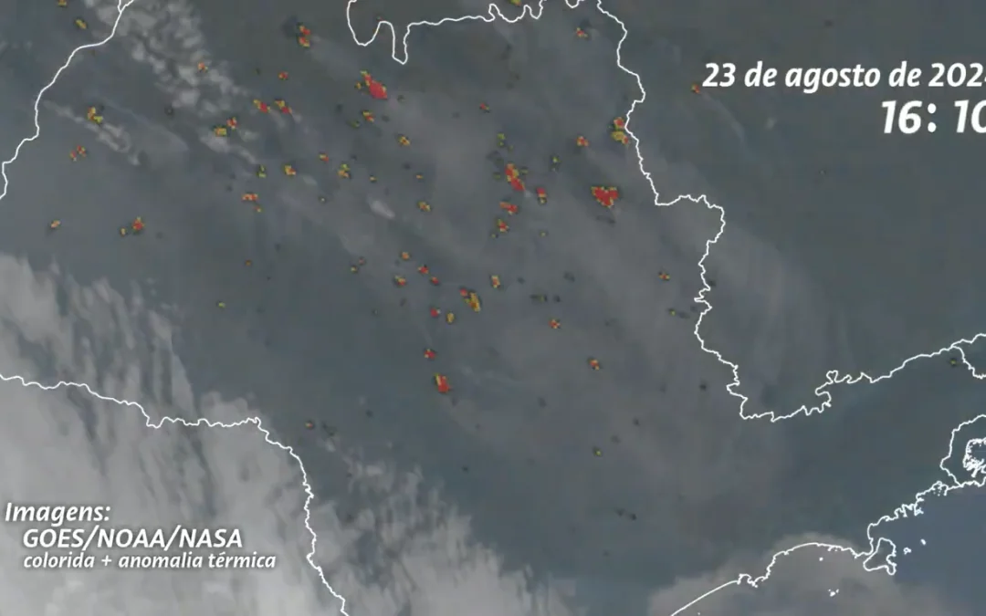 More than 80% of the outbreaks of heat in São Paulo occurred in agricultural areas