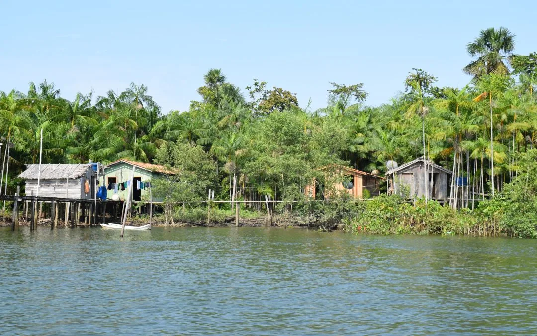 IPAM e parceiros elaboram aplicativo que facilita assistência técnica