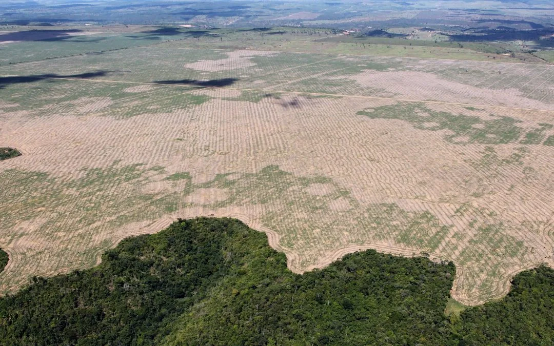 Corte de emissões deve ser 34 vezes maior que as emissões por desmatamento