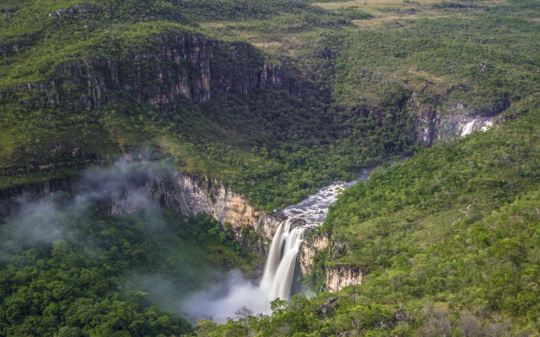 Campanha “Cerrado, Coração das Águas” é lançada neste 11 de setembro