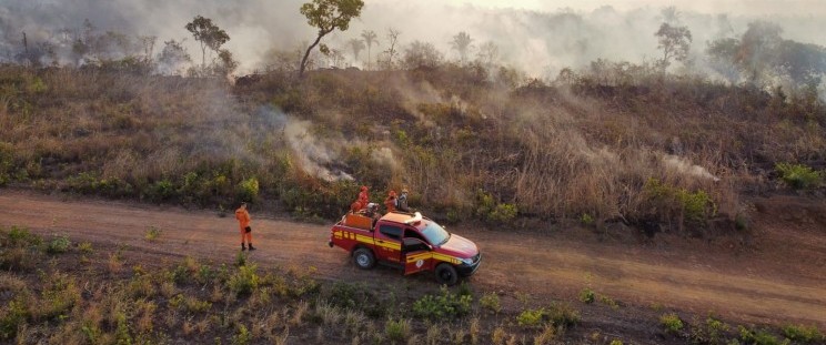 Maranhão se comprometeu a zerar o desmatamento ilegal até 2027