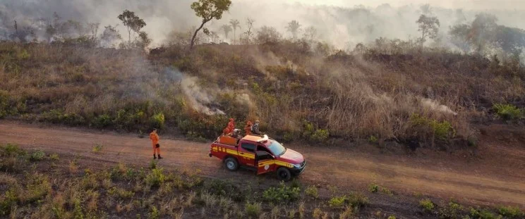Maranhão firma compromisso de zerar desmatamento ilegal até 2027