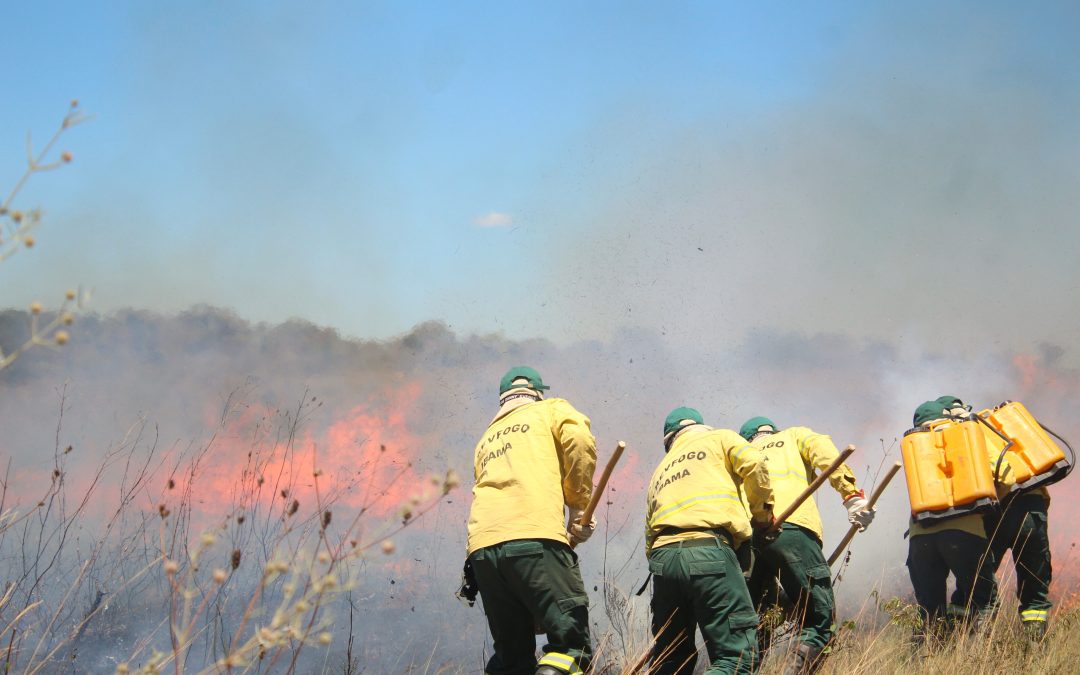 Área queimada sobe 221% nas savanas do Cerrado em agosto