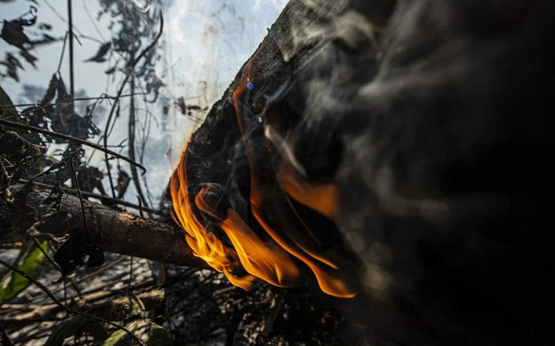 Area burned grows 132% in Amazon forests in August