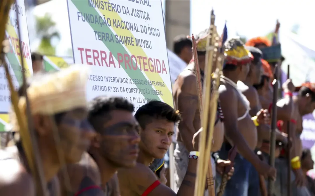Boletim do CIMC | Edição 3