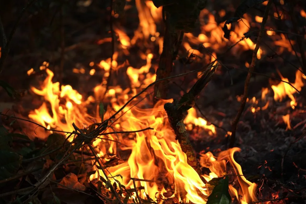 Vegetação Seca do Cerrado pegando fogo. Imagem presente no texto: Imóveis privados e terras indígenas concentram 80% do fogo no Cerrado.