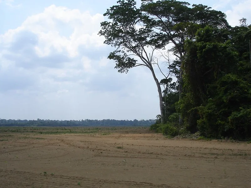 Degradação da Amazônia diminui sua capacidade de reduzir o aquecimento global