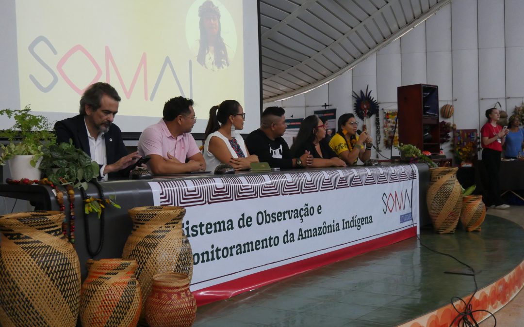 Em 10 anos, Somai monitora área indígena maior que a França