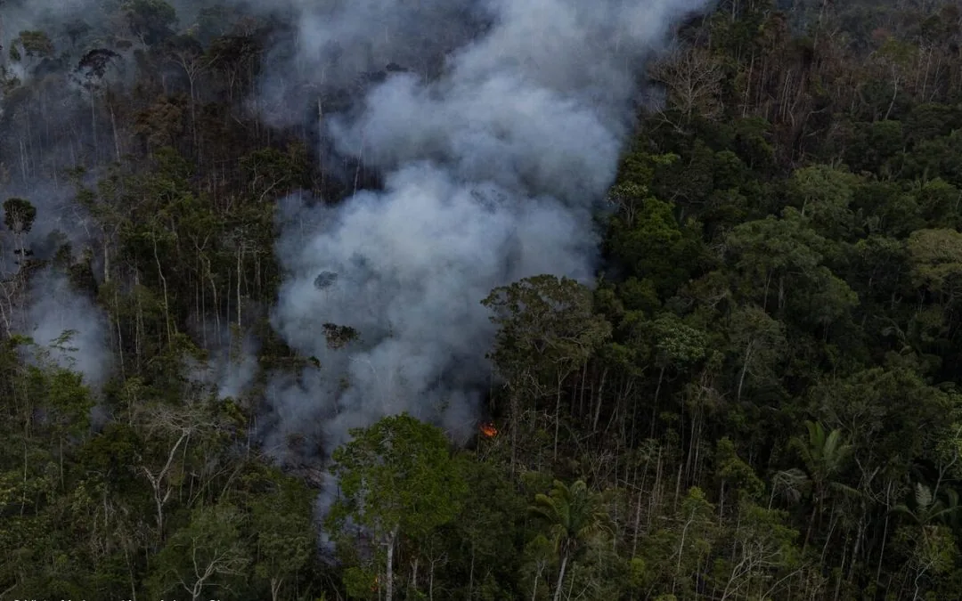 Com seca extrema, área queimada da Amazônia supera 11 milhões de hectares no ano