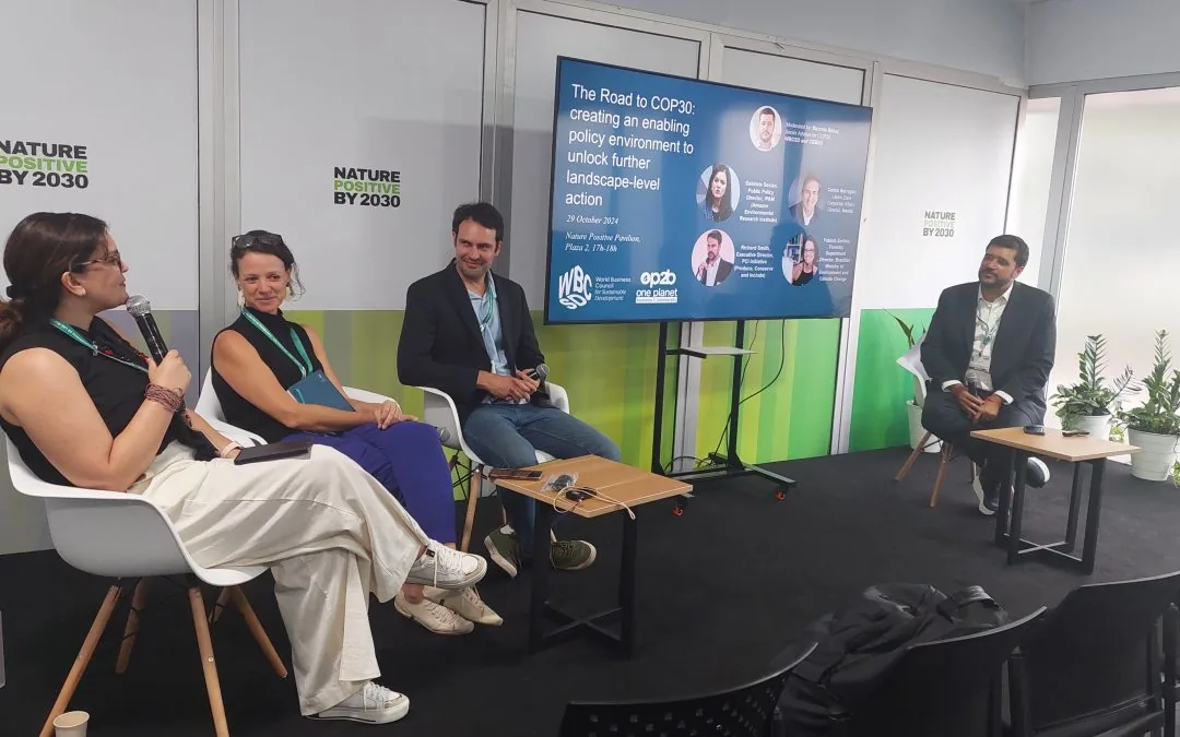 COP16: Integração é chave para converter desmatamento em conservação