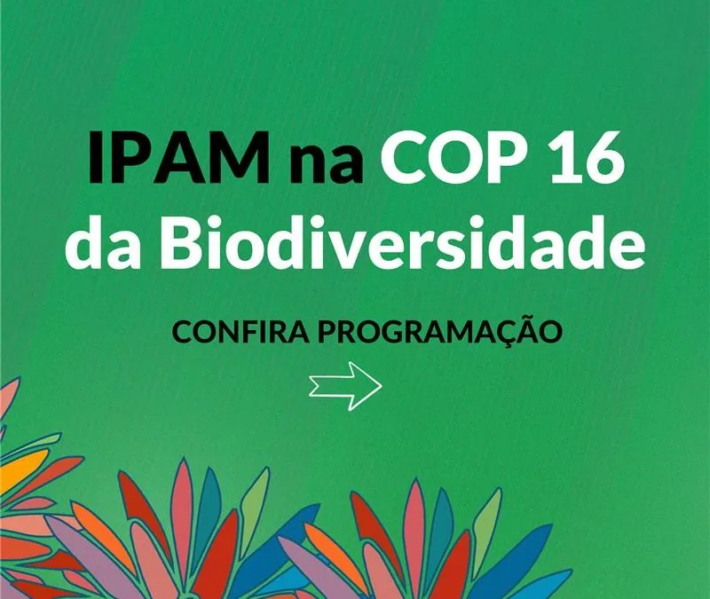 COP16: IPAM anuncia entrada no Global Landscapes Forum. Veja agenda de eventos