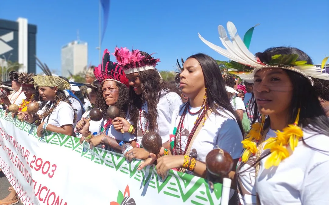 COP29: conhecimento dos povos indígenas contribui para a resiliência climática