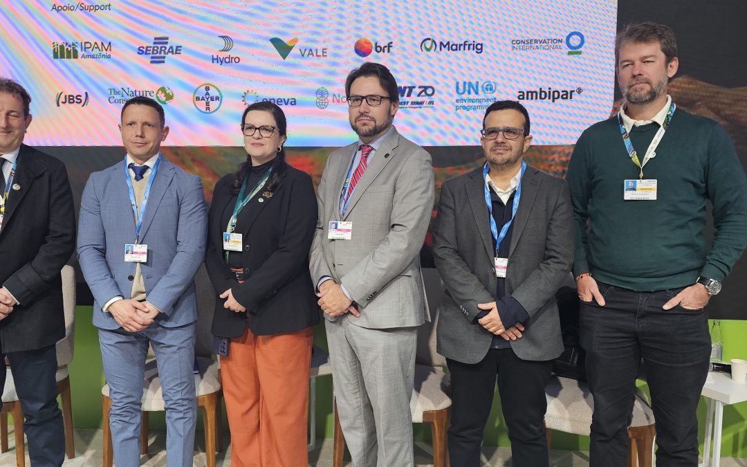 COP29: Licença ambiental para transição energética deve considerar clima