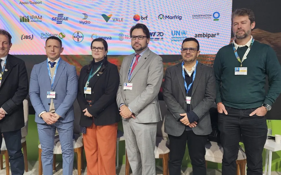 COP29: Licença ambiental para transição energética deve considerar clima