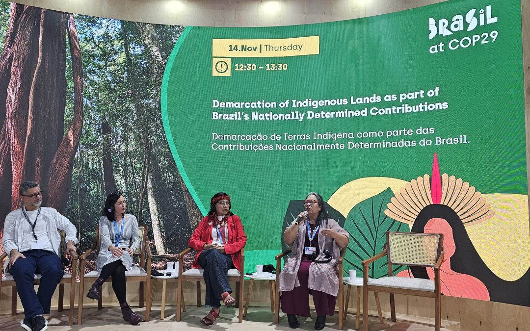COP29: indígenas devem estar no centro do debate sobre mudanças climáticas