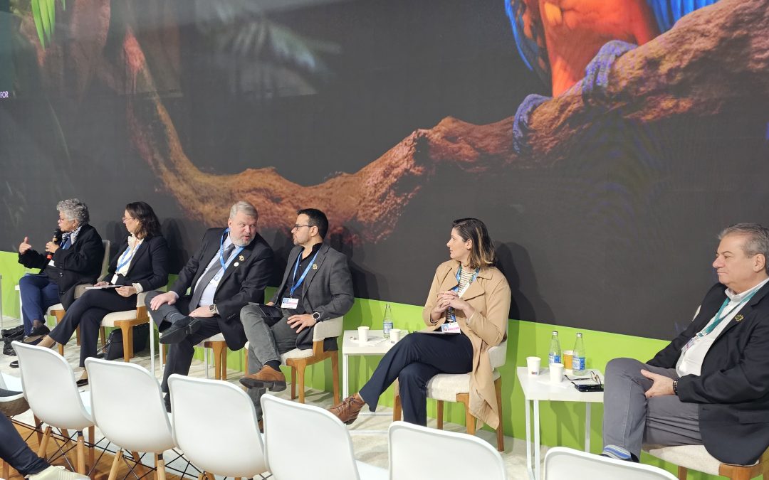 COP29: Pacto entre setor privado e governo facilitará descarbonização no Brasil