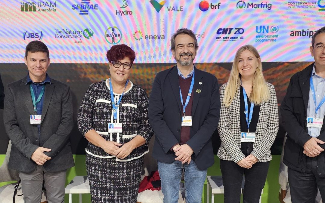 COP29: restauração no Brasil deve ser transformada em cadeia produtiva