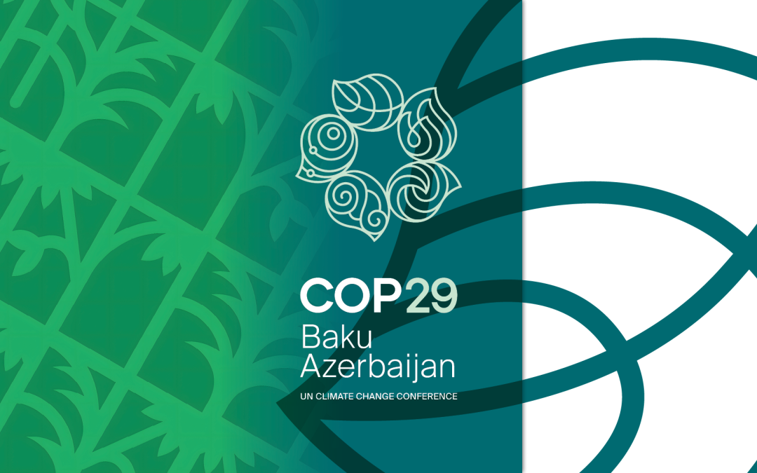 COP29: IPAM apresentará soluções para a emergência climática e Amazônia