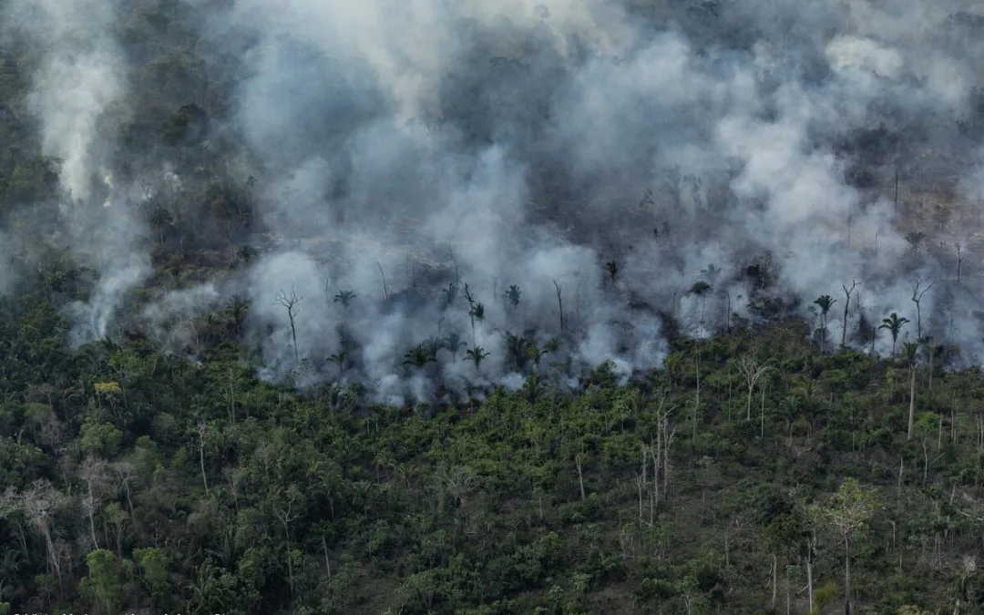 Incêndios na Amazônia queimaram área 10x maior do que a de desmatamento