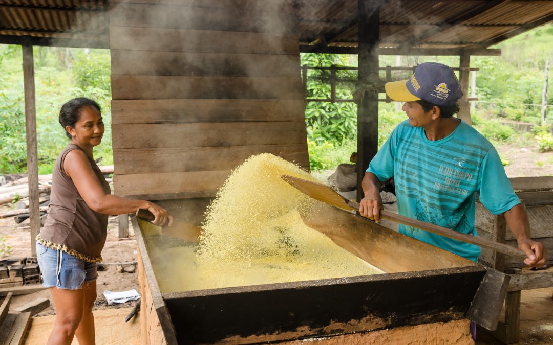 Bioindústria deve ser incluída em estratégias nacionais de desenvolvimento sustentável