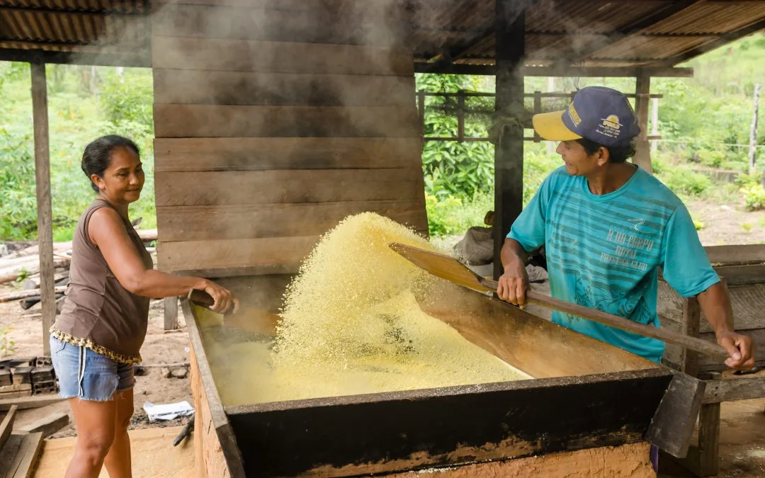 Bioindústria deve ser incluída em estratégias nacionais de desenvolvimento sustentável