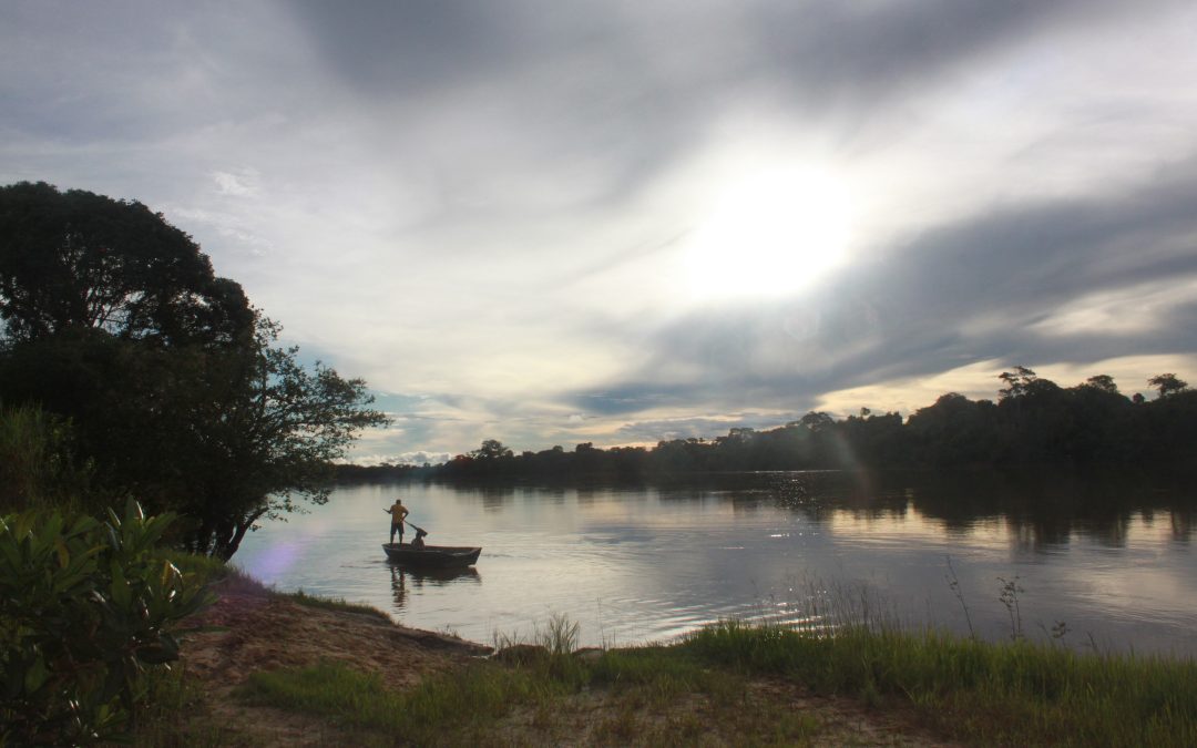 COP29: Cientistas mostram como a Amazônia é parte da solução para a crise climática
