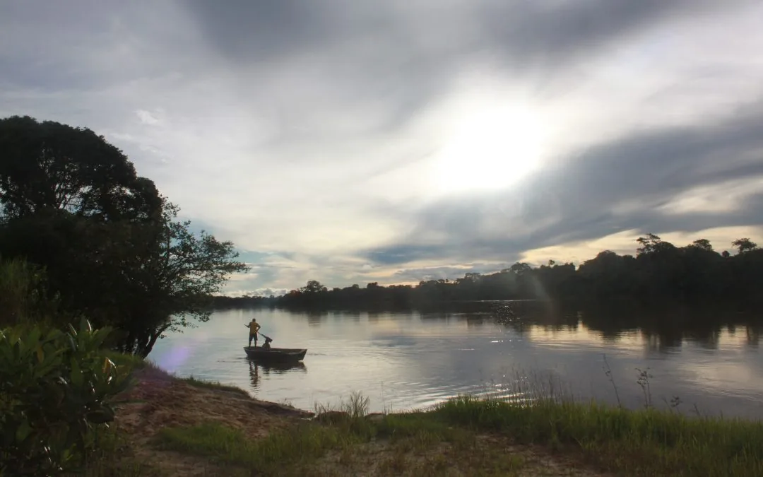 COP29: Cientistas mostram como a Amazônia é parte da solução para a crise climática