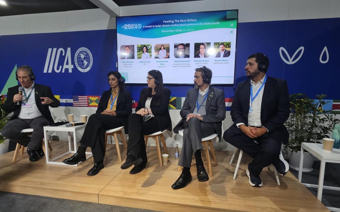 COP29: A produção de alimentos do futuro precisa de vegetação nativa